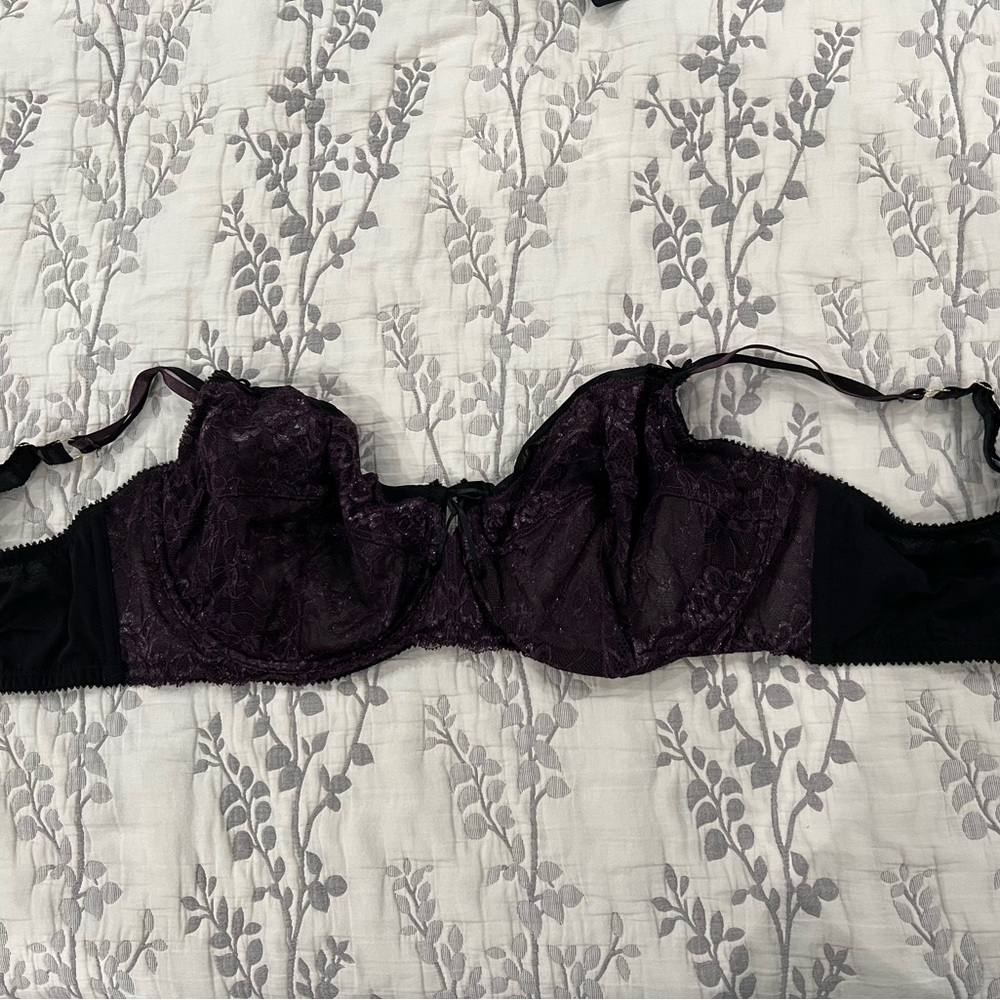 Ashley Graham Black & Purple Bra